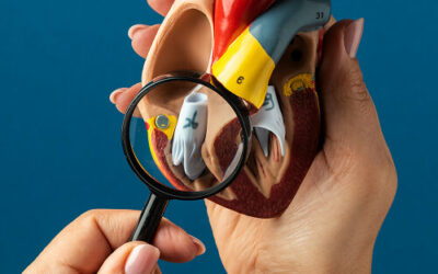 Maladies cardiovasculaires, 400 décès par jour en France